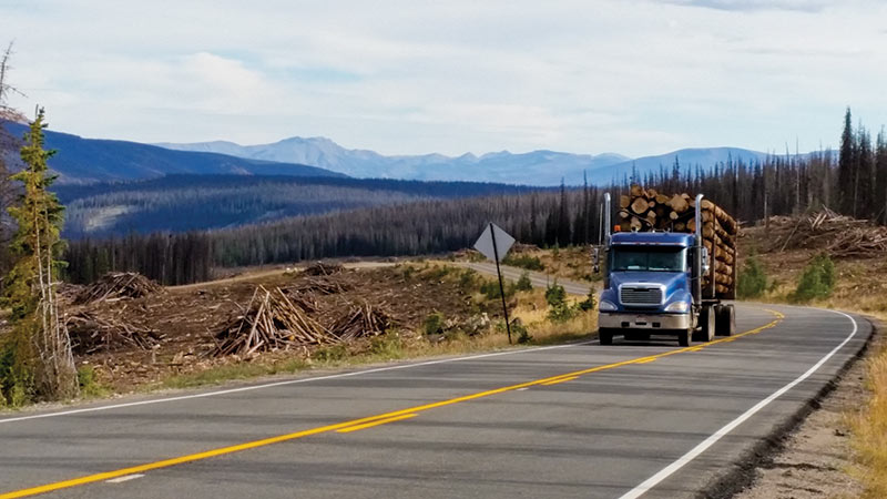 logging spring creek pass